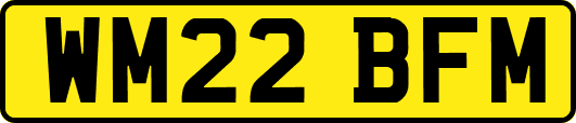 WM22BFM