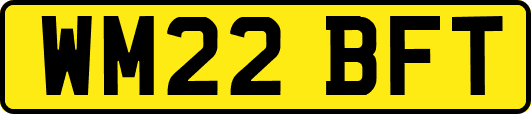 WM22BFT