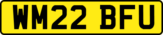 WM22BFU