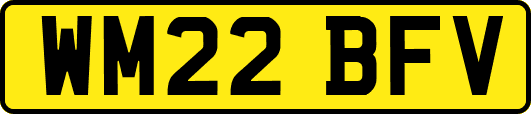 WM22BFV