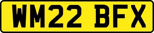 WM22BFX