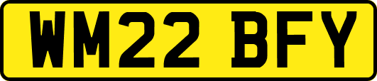 WM22BFY