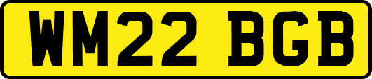 WM22BGB