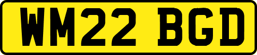WM22BGD