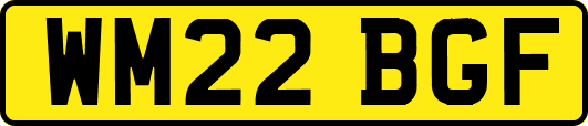 WM22BGF