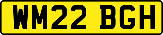 WM22BGH