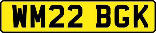 WM22BGK