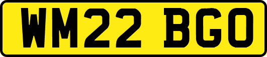 WM22BGO