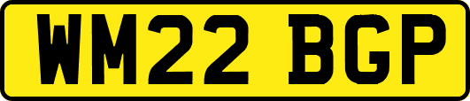 WM22BGP