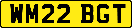 WM22BGT