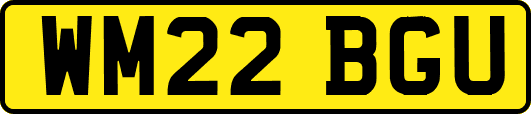 WM22BGU