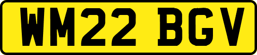 WM22BGV