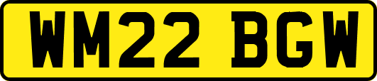 WM22BGW