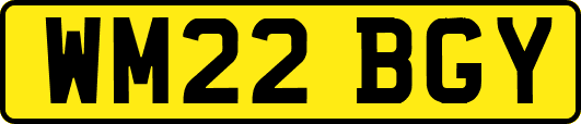 WM22BGY