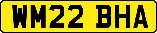 WM22BHA