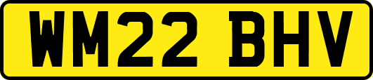 WM22BHV