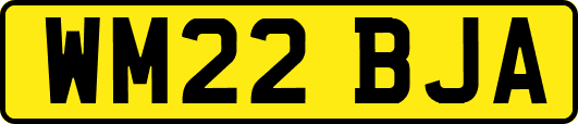 WM22BJA