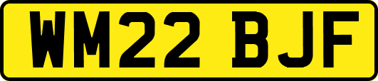 WM22BJF
