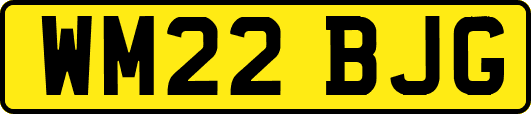 WM22BJG