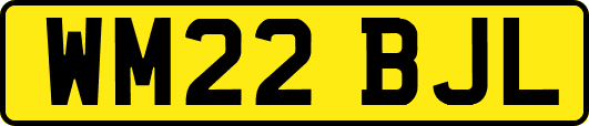 WM22BJL