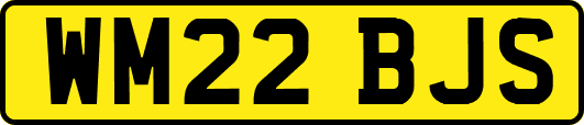 WM22BJS