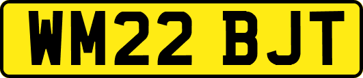 WM22BJT