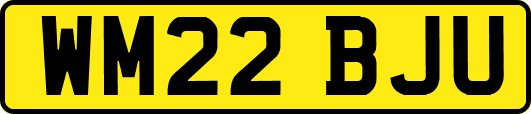 WM22BJU