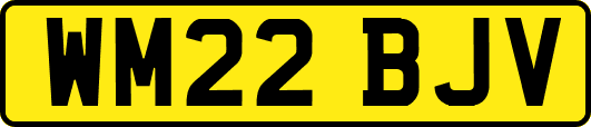 WM22BJV