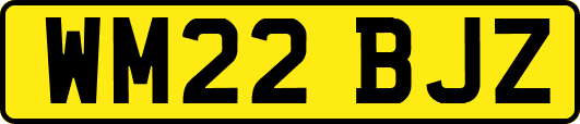 WM22BJZ