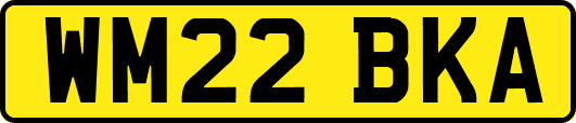 WM22BKA