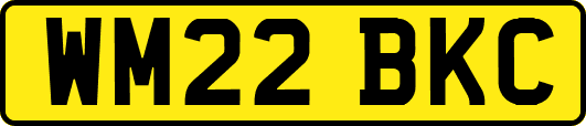 WM22BKC