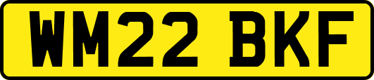 WM22BKF