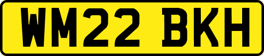WM22BKH