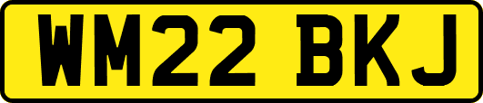 WM22BKJ
