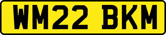 WM22BKM