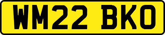 WM22BKO