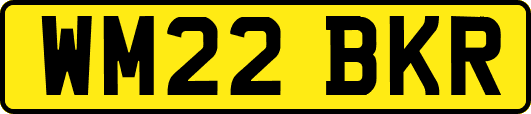 WM22BKR