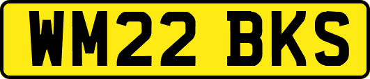 WM22BKS