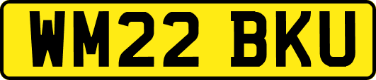 WM22BKU