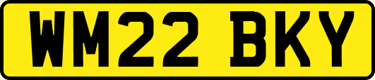 WM22BKY