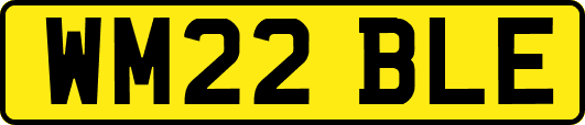 WM22BLE