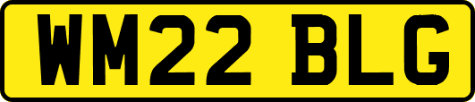 WM22BLG