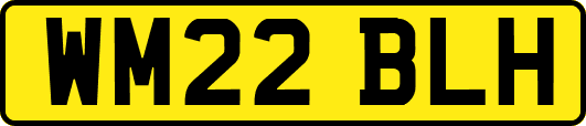 WM22BLH