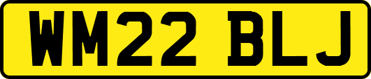 WM22BLJ