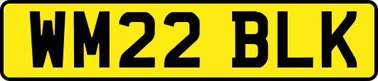 WM22BLK