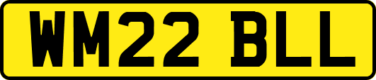 WM22BLL