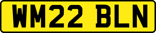 WM22BLN