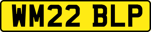 WM22BLP