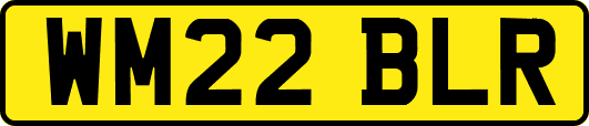 WM22BLR