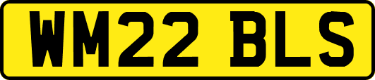 WM22BLS